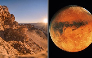 Phát hiện sự sống ở sa mạc khắc nghiệt nhất hành tinh