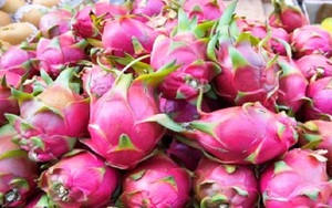 Sau vải thiều, xoài... thanh long Việt Nam sắp vào siêu thị Úc