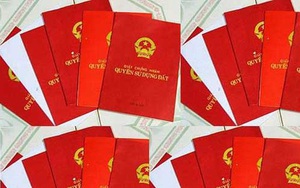 Lãnh đạo Bộ TN-MT: Sổ đỏ ghi tên các thành viên gia đình "để bảo vệ quyền lợi của họ"