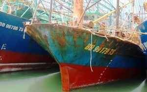 Tàu vỏ thép ở Bình Định bị rỉ sét: Phải xem xét có yếu tố phá hoại hay không?