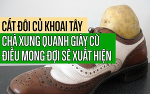 Cắt đôi củ khoai tây chà xung quanh giày cũ, điều mong đợi sẽ xuất hiện!