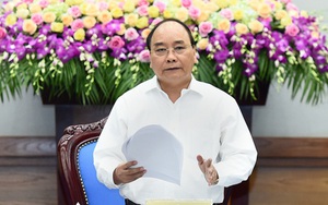 Thủ tướng Nguyễn Xuân Phúc yêu cầu tạm dừng đề xuất dự án thép Cà Ná