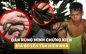 Người dân rùng mình chứng kiến chuyện chưa từng có: Đỉa bò lên tận hiên nhà