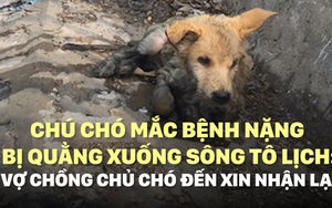 [VIDEO] Đôi vợ chồng đến xin nhận lại chú chó mắc bạo bệnh bị quẳng xuống sông Tô Lịch