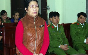 Giúp việc hành hạ con gia chủ lĩnh 15 tháng tù