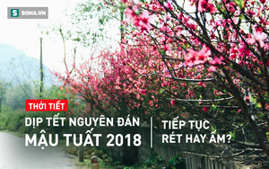 Trung tâm KTTV: Rét hại "đằng đẵng" thêm 6 ngày, dự báo thời tiết đợt nghỉ Tết