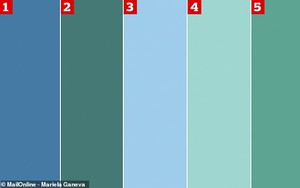 Nhìn bảng gồm 5 màu này, bạn có biết được đâu là màu xanh dương, đâu là màu xanh lá?
