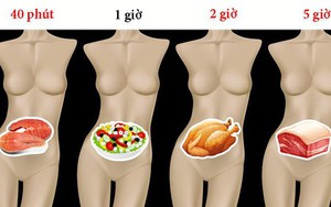 Mất bao lâu để tiêu hóa hết thực phẩm ăn hàng ngày?