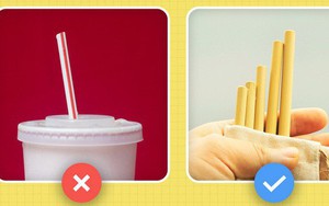 Sợ hãi vì tin xấu cho môi trường? Đây là những việc đơn giản ai cũng có thể làm để cứu lấy hành tinh này