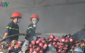 Hỏa hoạn thiêu rụi kho thanh long hơn 100 tấn ở Bình Thuận