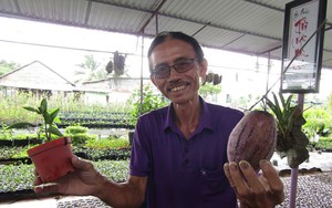 Dưa tí hon màu tím độc, lạ xuất hiện ở Sa Đéc