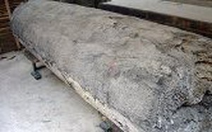 Sửng sốt với nghĩa địa mộ thân cây gỗ lim nguyên vẹn từ 3.000 năm trước ở Hưng Yên