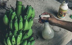 Bệnh ung thư đe dọa giới trẻ, lời cảnh báo từ thực phẩm như thế nào?