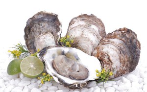 Bài thuốc chữa bệnh từ vỏ con hàu