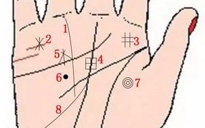Lòng bàn tay có 8 vị trí phú quý, chỉ cần sở hữu ít nhất 1 cái thì cả đời ăn sung mặc sướng