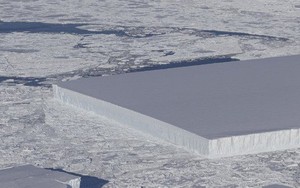 Làm thế nào mà tảng băng trôi vuông chằn chặn như thế này hả?