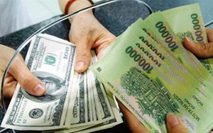 Anh thợ điện có thể xin miễn, giảm phạt 90 triệu vì đổi 100 USD trong tiệm vàng