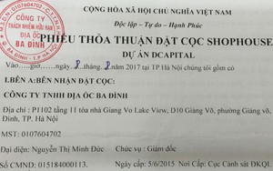 Truy nã giám đốc lừa bán shophouse tại dự án D’Capitale Trần Duy Hưng