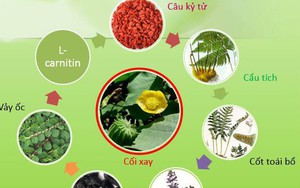 Giải pháp hỗ trợ điều trị lâu dài cho người bị điếc đột ngột, nghe kém, suy giảm thính lực