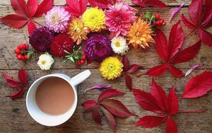 Thứ Sáu của bạn (5/10): Nhân Mã nghiêm túc đến không ngờ