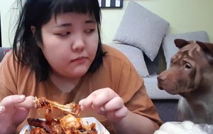 Hành động khó lường của cô gái khi nghe bạn trai thổ lộ: "Anh muốn em gầy, nếu em giảm cân mình sẽ sớm về chung 1 nhà"