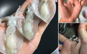 Mua mực quảng cáo to bằng bàn tay, anh chàng nướng xong thì mực teo bằng hạt đậu, mất luôn hứng nhậu