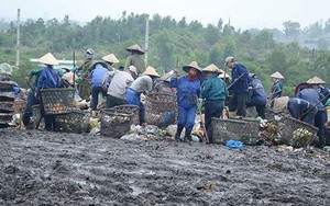 Chính quyền Đà Nẵng thất hứa với dân, hứa thêm lần nữa