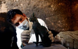 Phát hiện hàng chục xác ướp mèo trong ngôi mộ cổ ở Ai Cập