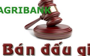 Agribank bán đấu giá khoản nợ 144 tỷ đồng của Đông Thiên Phú