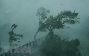 Tin bão khẩn cơn bão số 9: Bão giật cấp 12, cách Nha Trang khoảng 290km