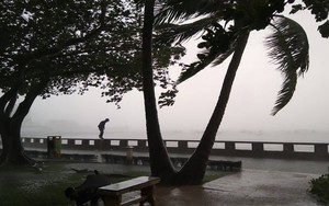 Gió mạnh cấp 8 đổ bộ vào Vũng Tàu, cây xanh gãy đổ hàng loạt