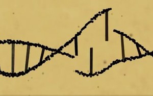 Thế giới quan ngại về chỉnh sửa gene em bé ở Trung Quốc