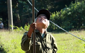 Căng tai, dõi mắt đi săn ong rừng