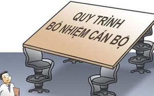Cà Mau có trên 70 cán bộ bổ nhiệm không đúng quy định