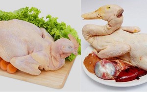 Thịt gà có bổ hơn thịt vịt: Chuyên gia dinh dưỡng chỉ điểm khác duy nhất