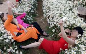 Ba người phụ nữ nằm đè bẹp luống hoa cúc họa mi, vắt chân selfie gây bức xúc