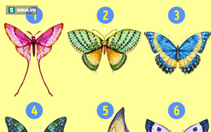 Chỉ cần chọn con bướm mình thích, chúng tôi biết bạn là người thế nào!