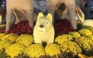 Biểu tượng chó ở đường hoa bị chê "không giống chó": Đang tìm cách khắc phục
