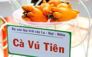 Tạp chí uy tín thế giới viết về 2 chất độc trong quả dư bán chưng Tết tràn lan ở Việt Nam