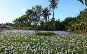 Hàng loạt vụ án khó tin nhưng có thật