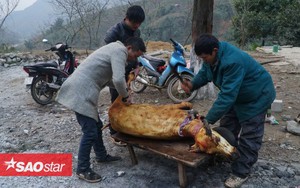 Người dân xót xa nhìn trâu chết rét, phải xẻ thịt mang bán dọc quốc lộ