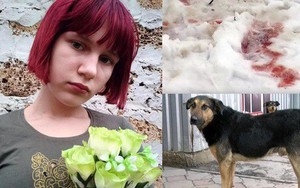 Thảm kịch trên đường đi học về: Bé gái 12 tuổi bị đàn chó hoang tấn công, tử vong đầy đau đớn