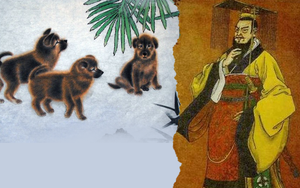 Phát hiện "Án tìm chó" trong mộ cổ và sở thích ít người biết của Tần Thủy Hoàng, Hán Vũ Đế