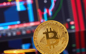 Phí giao dịch Bitcoin giảm kỷ lục