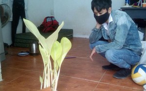 Hai nam sinh chưa dám nhổ bụi chuối "đội" gạch mọc giữa phòng