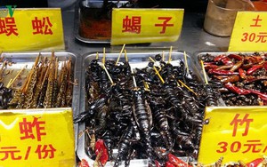 Bọ cạp, rắn, sâu... “dọa” thực khách yếu tim trên phố ẩm thực Trung Sơn