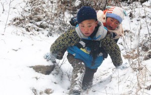Cậu bé 9 tuổi vượt tuyết cõng em trai xuống núi: Bức ảnh lay động hàng triệu trái tim