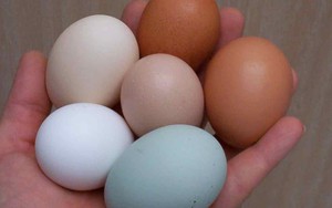 Chuyên gia khẳng định: Ăn trứng gà theo cách này, lợi ích thì ít mà tác hại vô cùng lớn