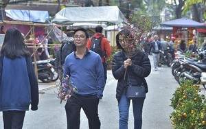 Nhộn nhịp chợ hoa Hàng Lược trước Tết Nguyên đán