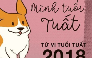 Tử vi tuổi Tuất năm 2018: Kiên nhẫn chờ đợi, kiếp ‘độc toàn thân’ rồi sẽ qua nhanh